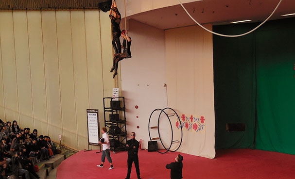 cirkorpractice