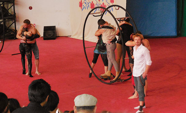 cirkorpractice